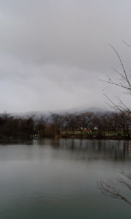 20090217094314.jpg